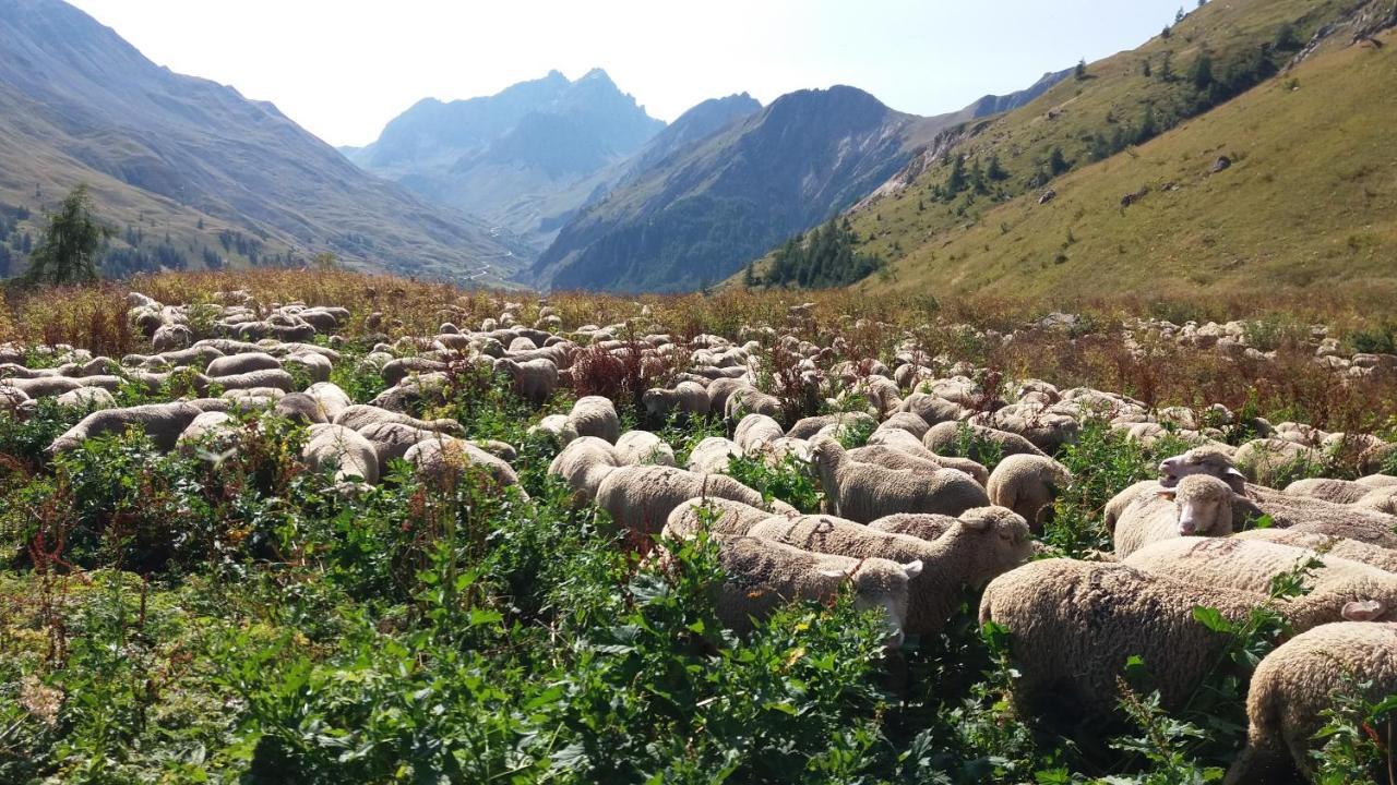 Отель Aiguille Noire Валуар Экстерьер фото